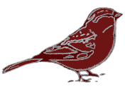 Tuis